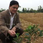Đồng chí Nguyễn Công Châu – Phó chủ tịch UBND huyện kiểm tra các mô hình trồng bưởi